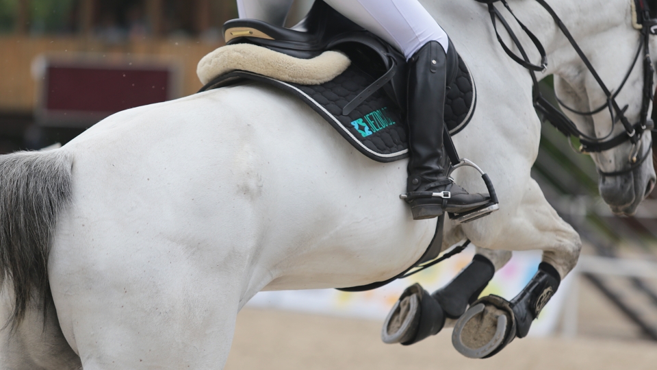 Na kvalifikaci Pony ligy a extraligy do Heroutic