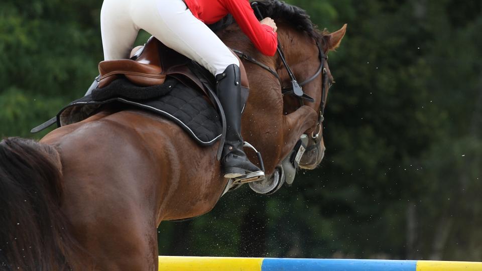 České starty při středečním CSI Arezzo s chybou