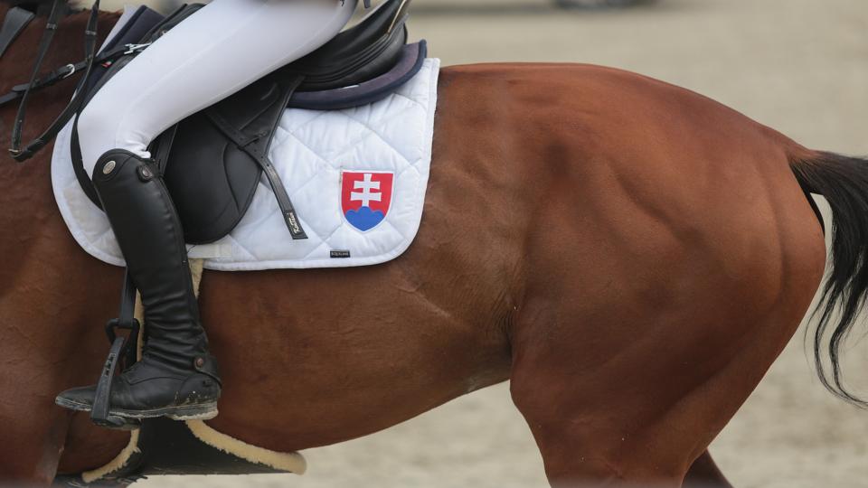 Jezdecké dění na Slovensku v 20. a 21. týdnu 2018