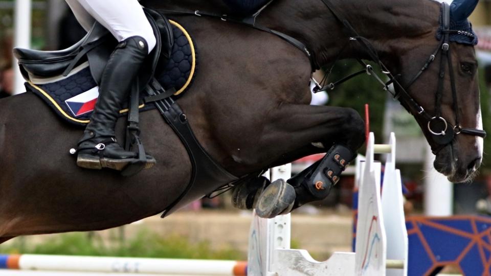 Mladá česká reprezentace míří na CSIO do Hagenu