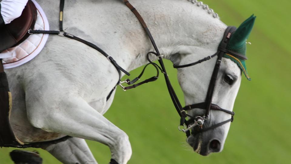 Allen sahal v GP CSIO Dublin téměř po vítězství