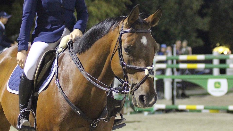 Večerní hobby skokové závody 2018 ve Frenštátu