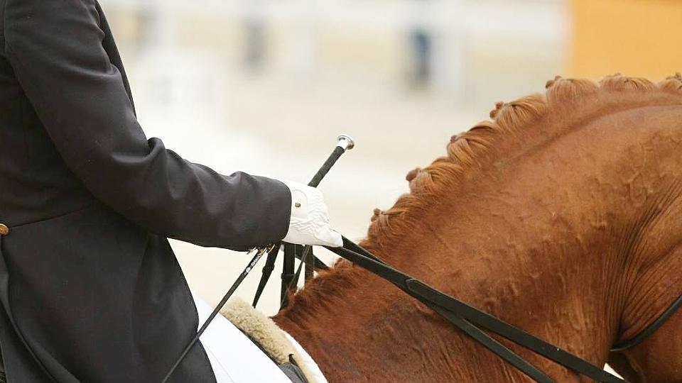 Drezurní SP v rámci stuttgartského German Masters