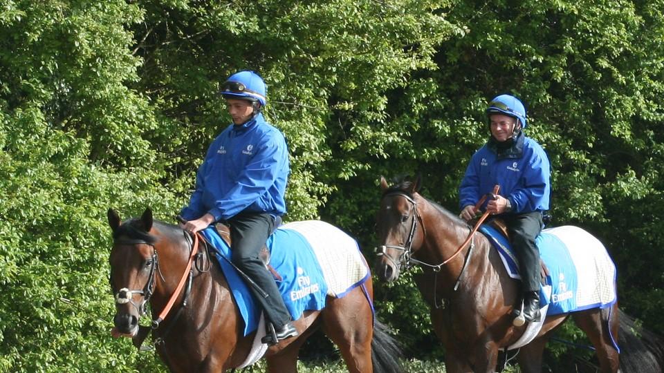 Jezdci nesmí vážit víc než 67 kg. Nová linie Godolphinu poutá rozruch