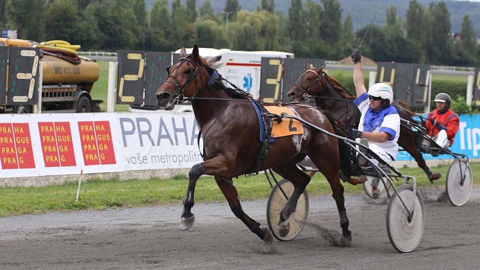 Inaccessible Grou jistým vítězem klusáckého derby 2019 v Chuchli