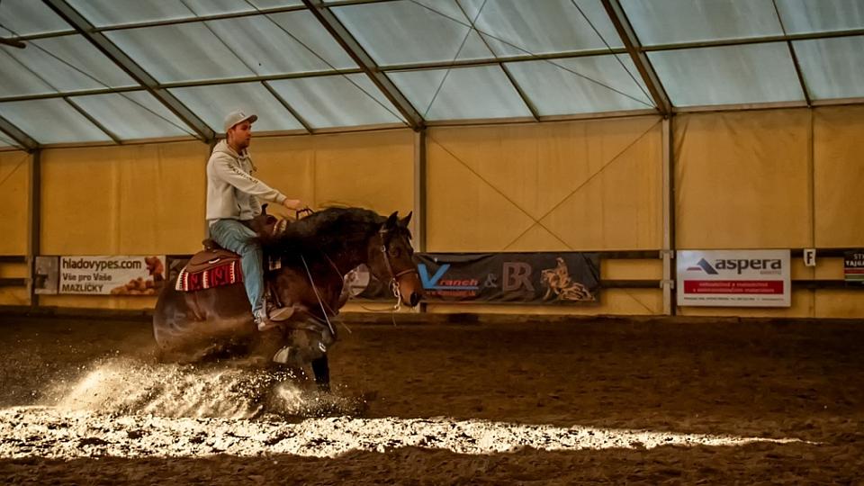 Jonáš Bujnoch: Začínali jsme se třemi boxy, teď máme kapacitu 55 koní