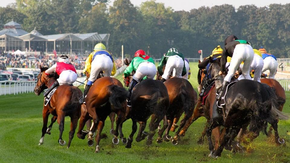 Dobrá zpráva pro české stáje: Německo od června otevře své dostihy