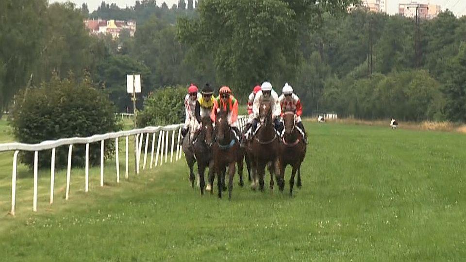 Equinews: Orleano zářil ve Varech. Osmá Global Champions v Berlíně