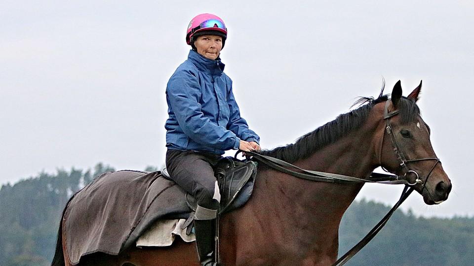 Partenit se do Bošovic nevrátil. Koně za 775 000 eur čeká zřejmě Dubaj