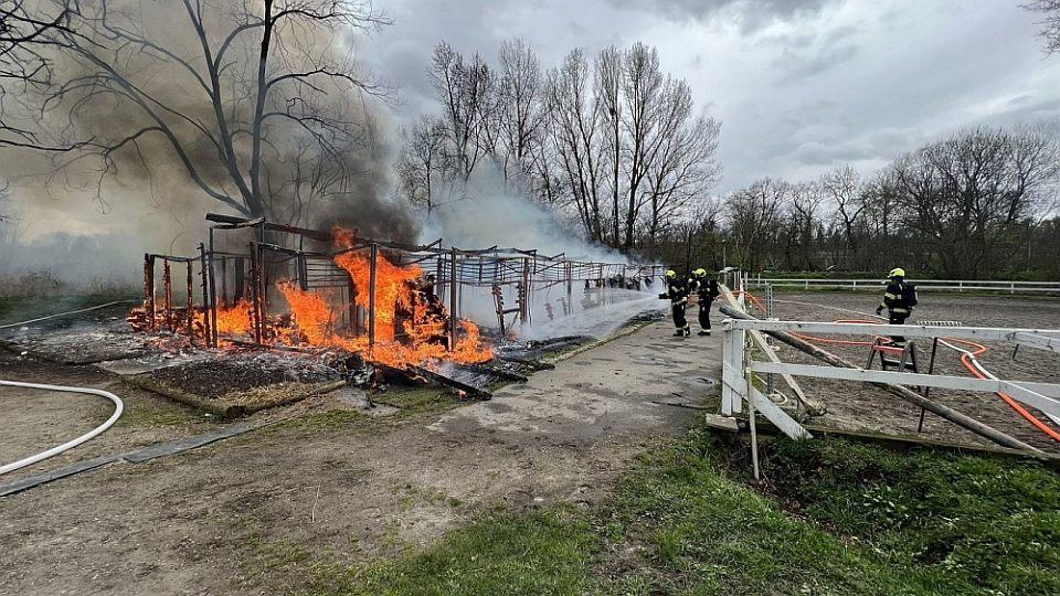 Za osm životů koní osm let vězení: Žhář uzavřel dohodu o vině a trestu