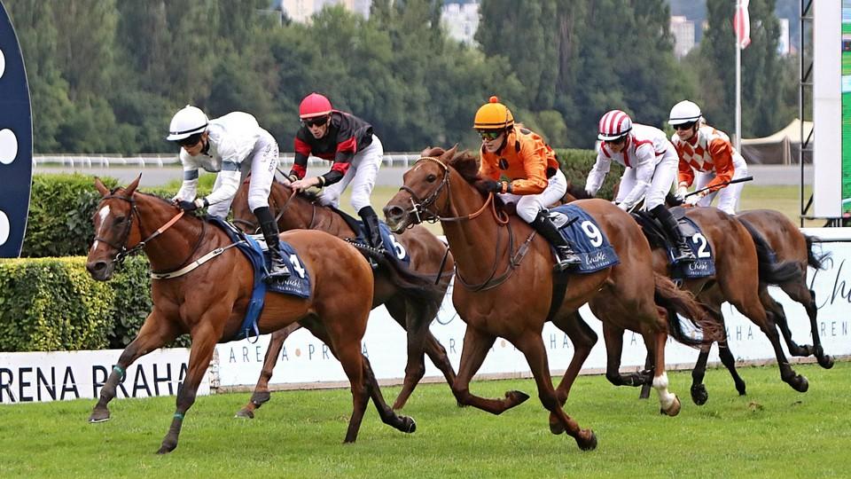 Entropia završila letošní hattrick, dvojitá brněnská radost v Chuchle Areně
