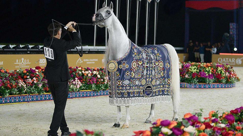Obrazem: Pompézní přehlídka arabských koní v Chuchli a show plná efektů