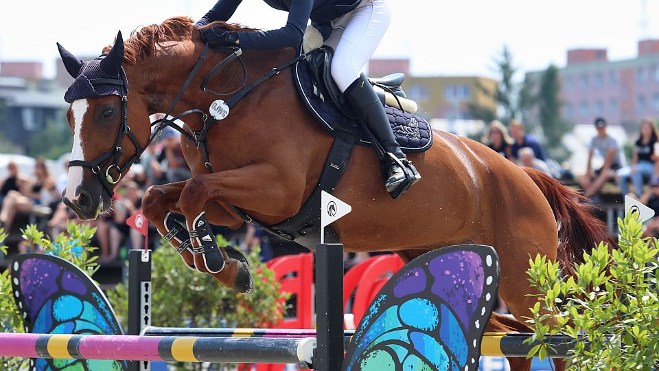 Startovní čísla koní budou od roku 2023 opět na každé závody ČJF jiná