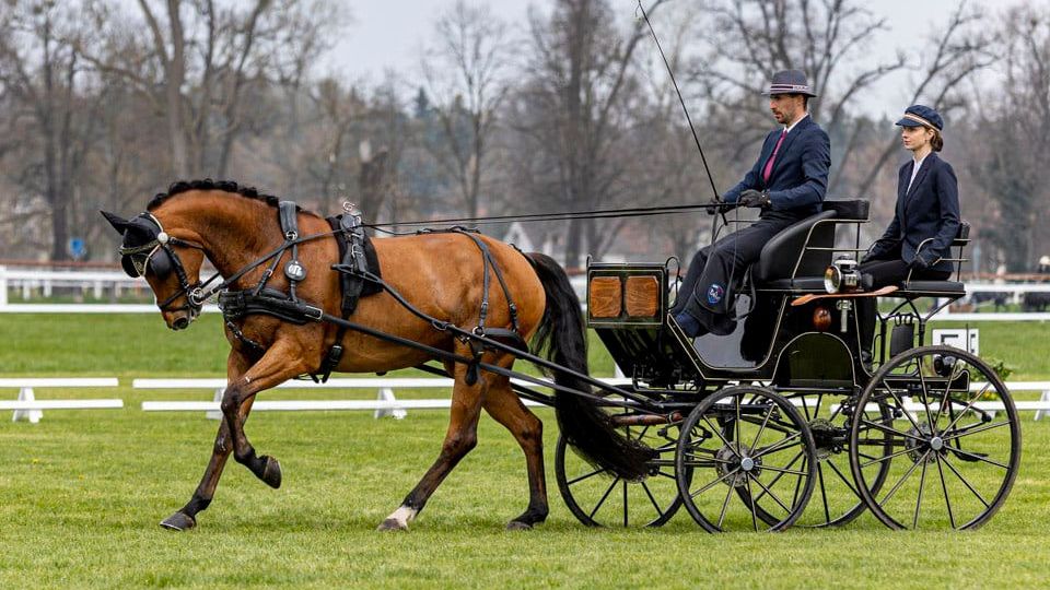 Při CAN1* v Kladrubech byl nejlepší Ziegler. Dařilo se i Soukupovi