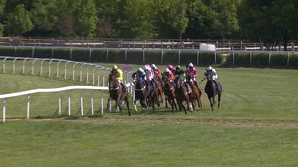 Equinews: Charpentier si řekl o derby, Pamino dál vládne klusákům