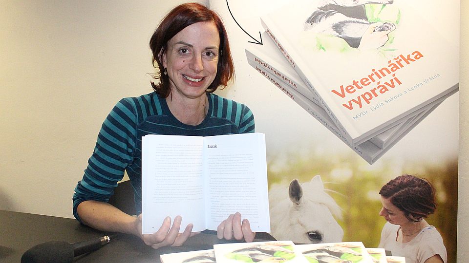 Veterinářka vypráví: Klisnu po porodu zachránily transfuze krve