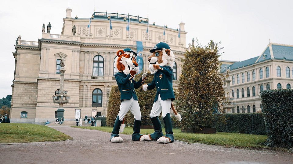 Maskoti s novou tváří: Při Prague Playoffs budou opět řádit veselí lvíčkové