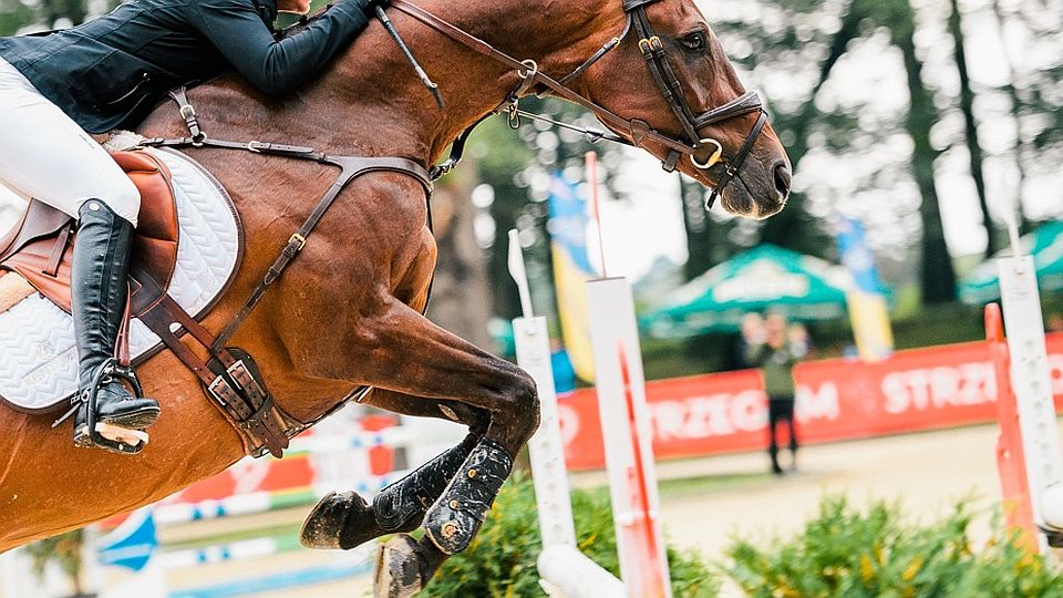 CCI Strzegom: Březina je i po parkuru šestnáctý, Kamírová nově také